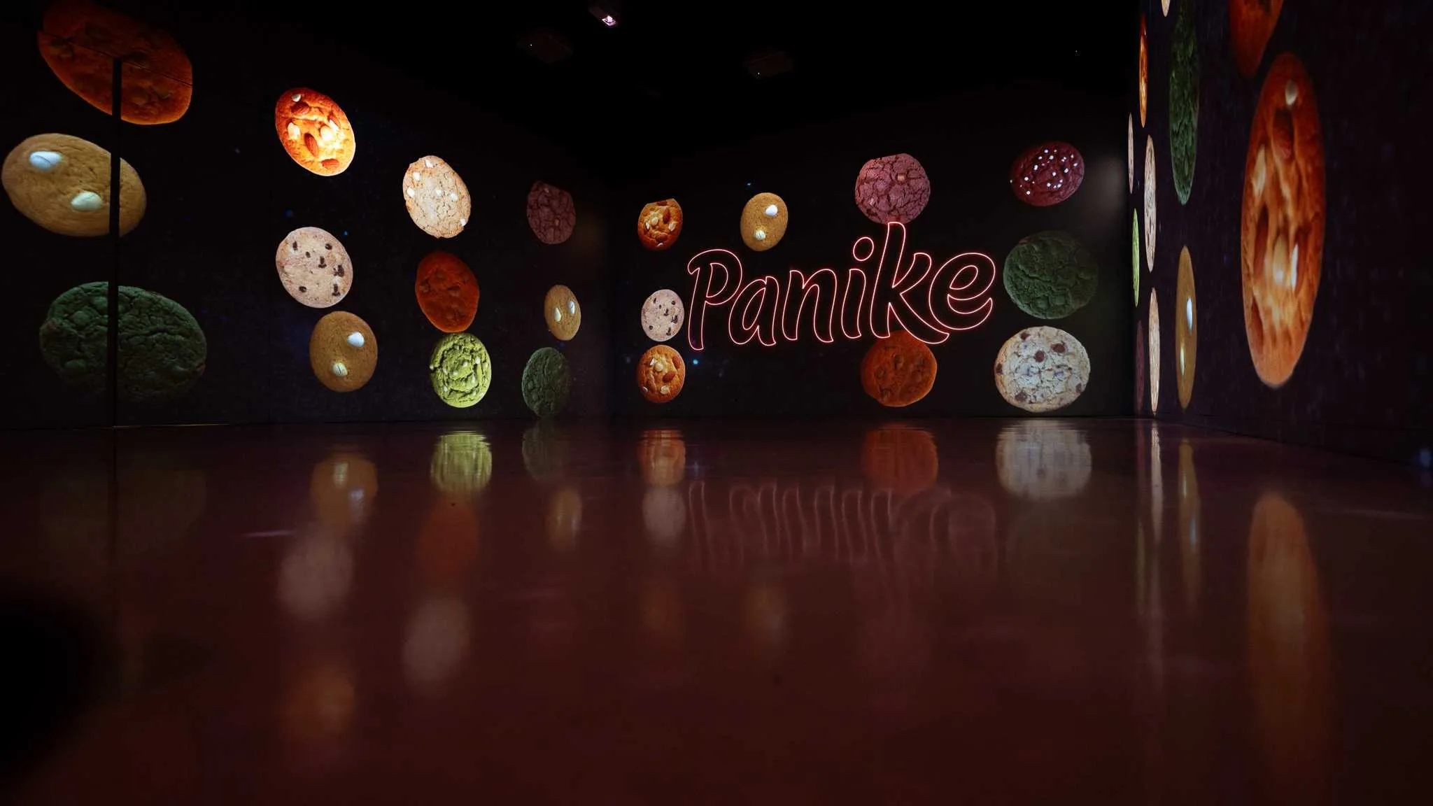 Panike - Indústria de Produtos Alimentares Congelados, S.A 1
