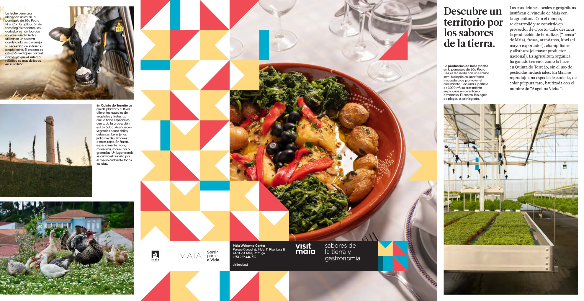 Folleto Sabores de la Tierra y Gastronomía